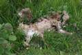 Picture 92